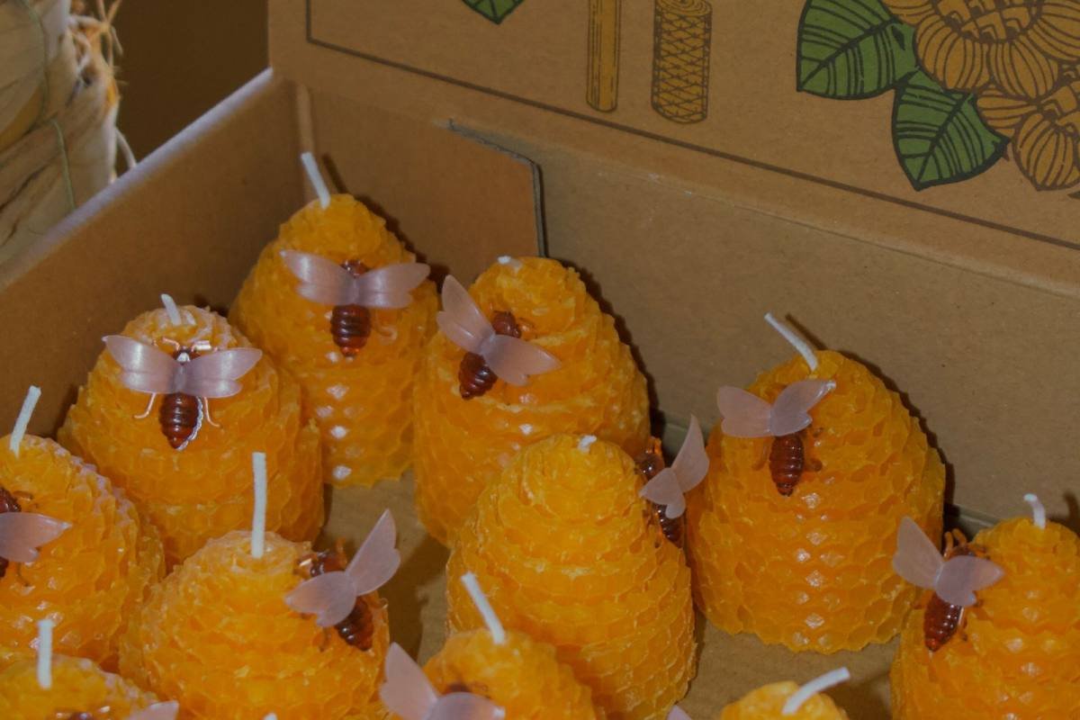 Bienenwachs: Das Wundermaterial aus dem Stock